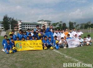 成人足球培训视频,成人足球培训视频精华解析