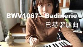 口风琴成人教学视频全集,成人教学视频全集精华解析