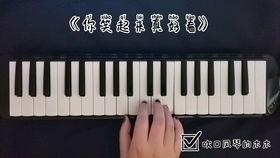 口风琴成人教学视频全集,成人教学视频全集精华解析