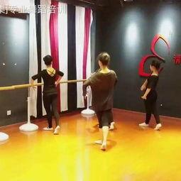 成人舞培训视频教程全集,成人舞培训视频教程全集精华汇总