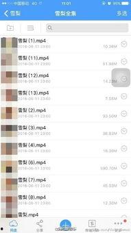 成人免费开心网视频,成人专属开心网视频盛宴