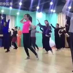 舞蹈成人舞种大全视频,成人舞种大全视频深度解析