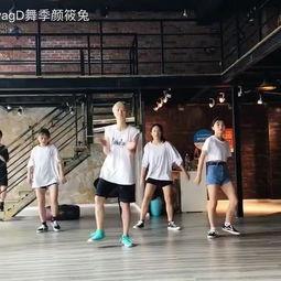 舞蹈成人舞种大全视频,成人舞种大全视频深度解析