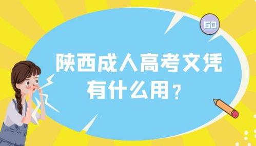 陕西成人考试视频,掌握核心知识点