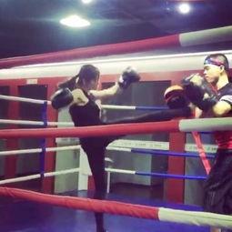 成人拳击乐趣视频下载安装,成人拳击乐趣视频下载与安装指南