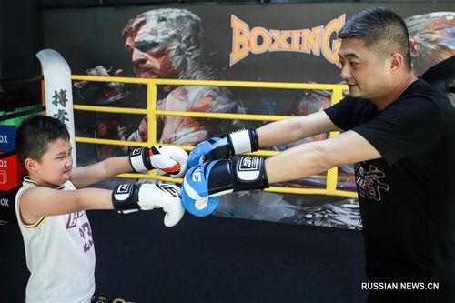 成人拳击乐趣视频下载安装,成人拳击乐趣视频下载与安装指南